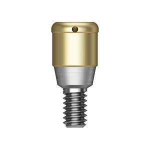 TS Port Abutment / Locator