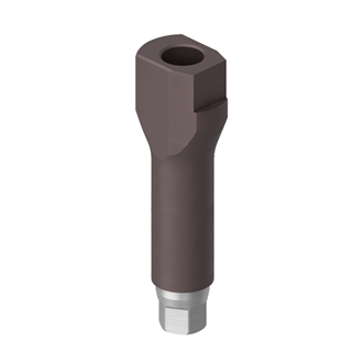 TS Ny Scan Body Lang (12 mm)