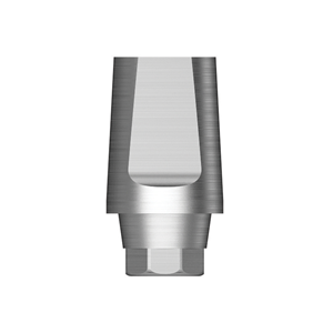 SS ComOcta Abutment