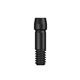 TS EbonyGold Abutment Screw Standard (new)