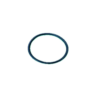 O-Ring G55